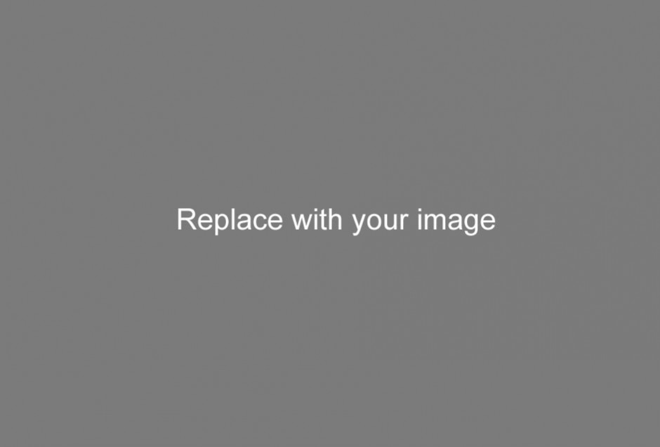 Golden Eagle In The Forest